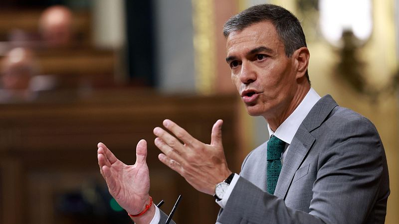S�nchez en el Congreso