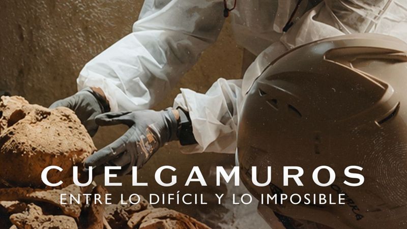 Cartel de 'Cuelgamuros', que se presentar� en San Sebasti�n