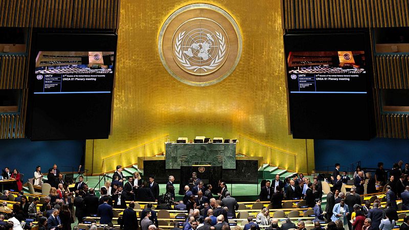 Asamblea General de la ONU