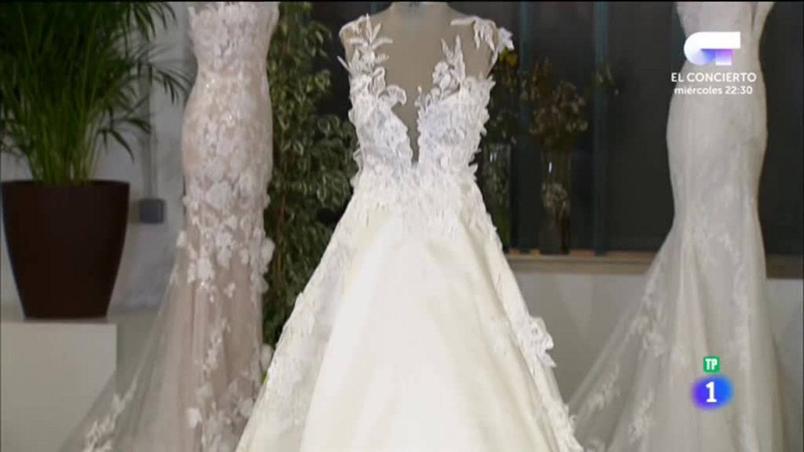 El mejor trabajo de Luisa