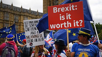 Activistas proeuropeos se concentran en el Parlamento britnico en junio.