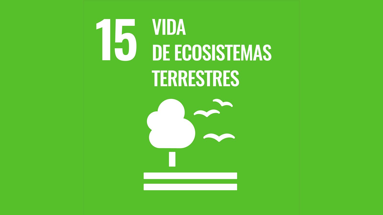 Objetivo de desarrollo sostenible 15