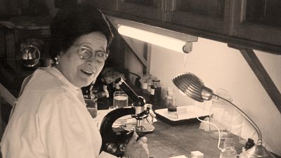 El escarabajo verde - La ocean�grafa. Pioneras H.N. 3