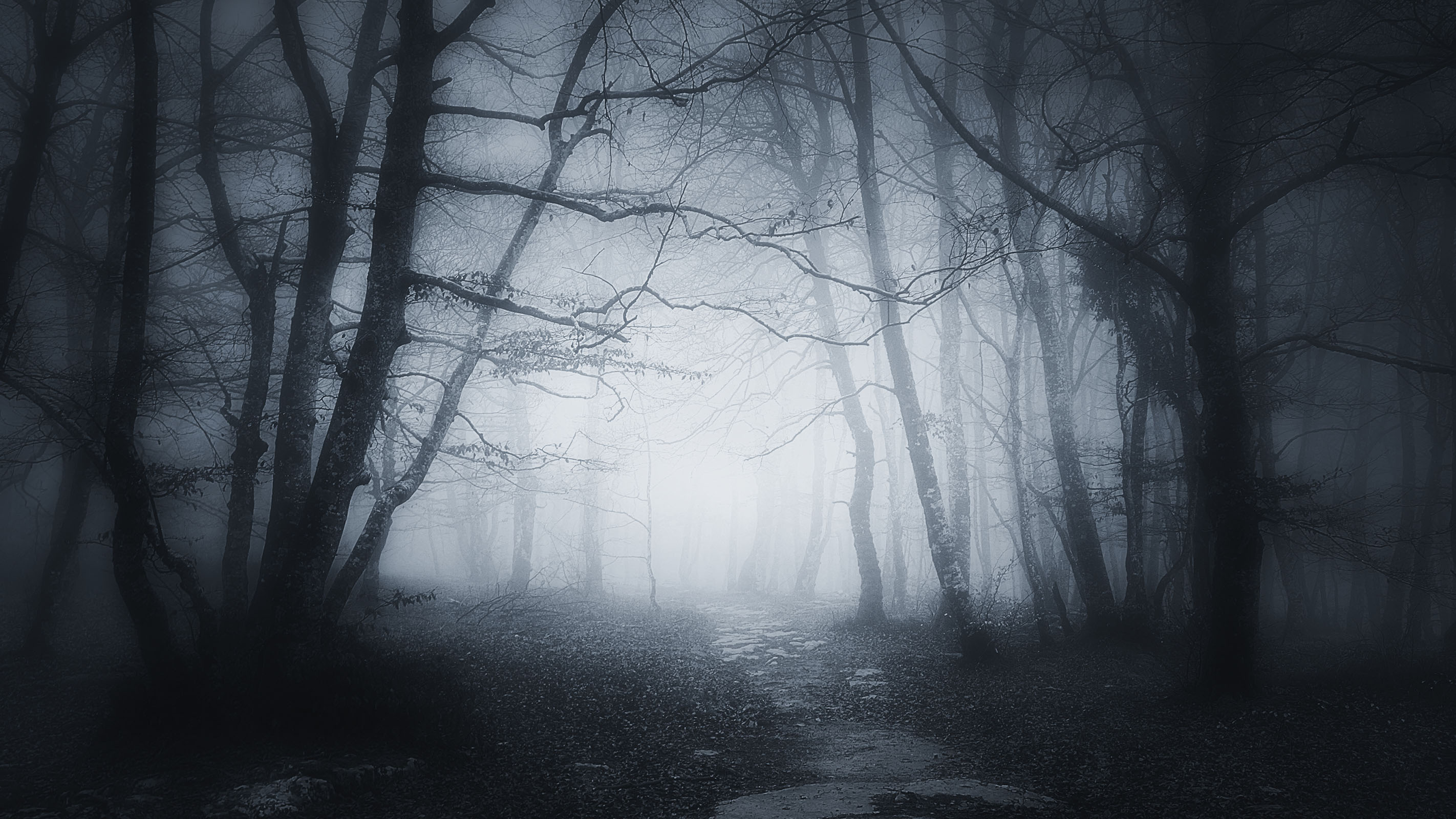 Ficciones sonoras de miedo y suspense, en RNE Audio Ficciones sonoras de miedo y suspense, en RNE Audio