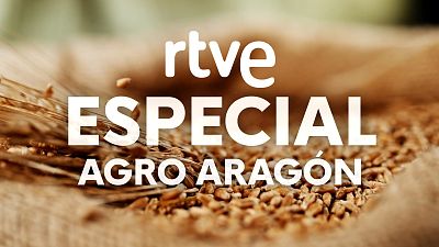 Emisión en directo de  de RTVE