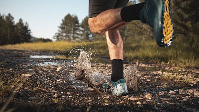 Emisión en directo de  de RTVE