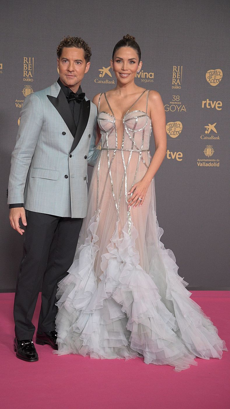 Premios Goya 2024: David Bisbal y Rosanna Zanetti