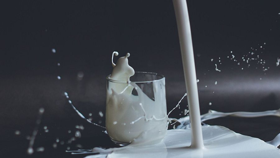 No está demostrado que la leche de vaca aumente el riesgo de cáncer de mama