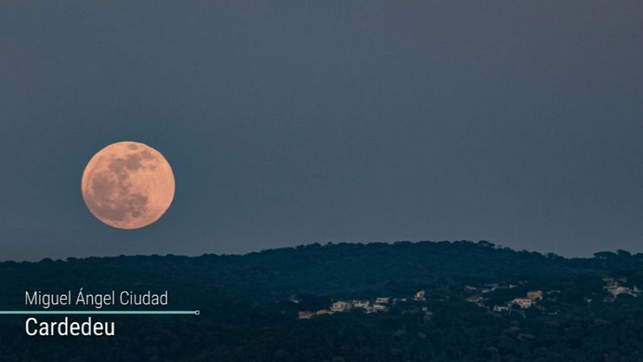 La Lluna Rosa acomiada la diada de Sant Jordi d’enguany