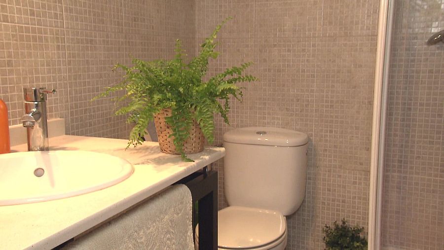 Lavabo: falguera