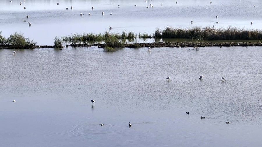 Delta de l’Ebre