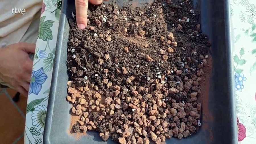 Meslca de terra per a la superfície del bonsai.