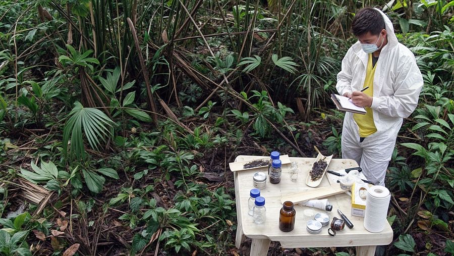 Investigador en traje protector documenta muestras en una selva, junto a una mesa con frascos, recipientes y herramientas.