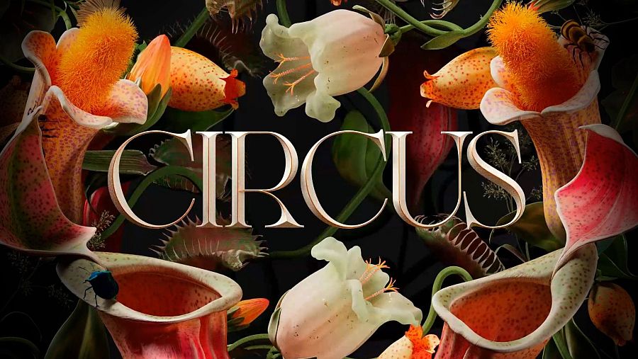 Cartel de "CIRCUS" (Tavo Studio, 2024) con plantas carnívoras, un escarabajo y una abeja.  Colores vibrantes y yuxtaposición de belleza y peligro.
