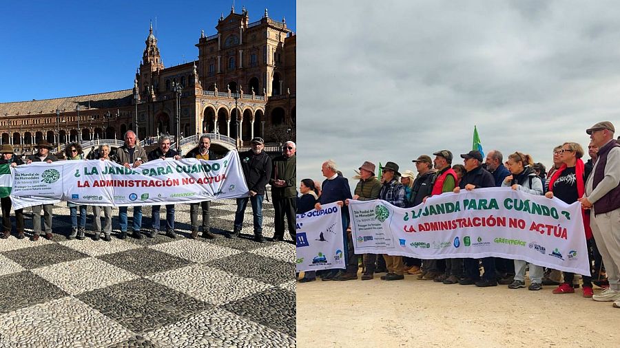 Concentraciones en favor de la recuperación de la Janda