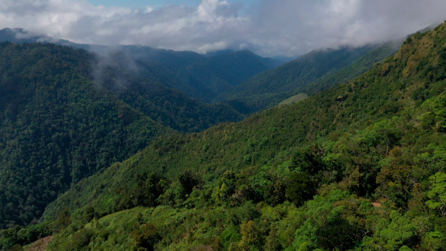 Un dels paisatges de Costa Rica