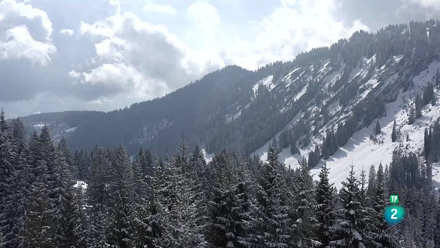 La regió de Baviera, als Alps alemanys