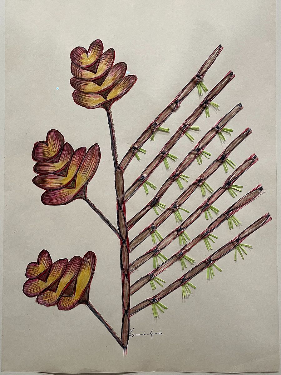 Obra de Anna Zemánková