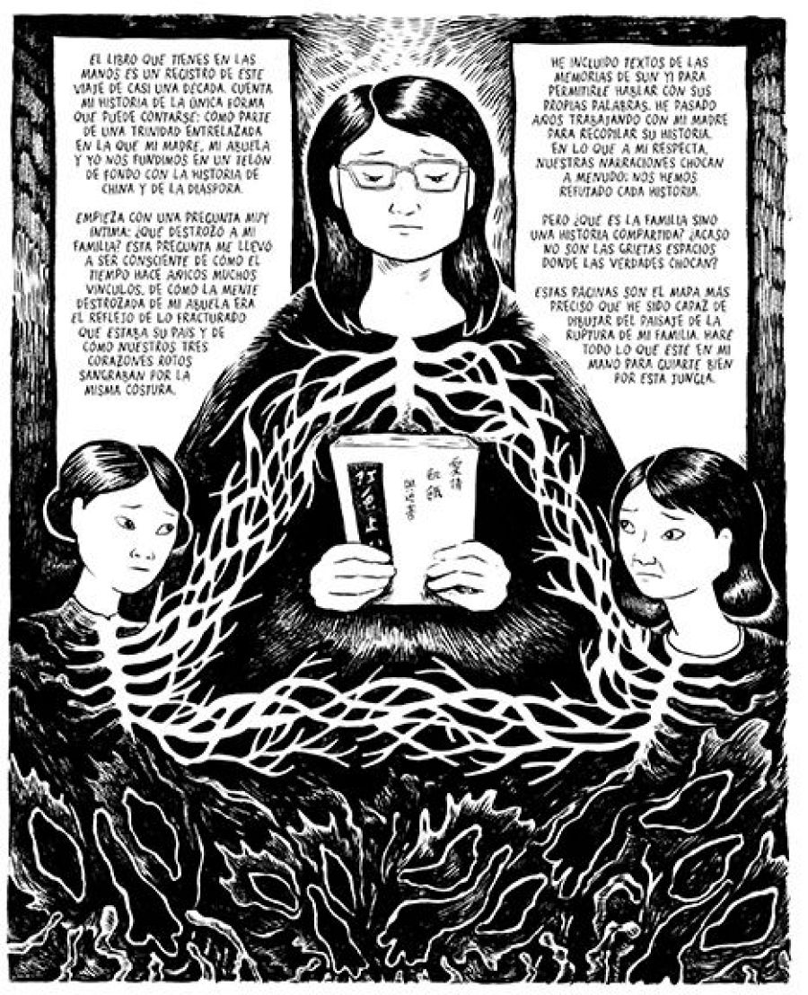 Tres mujeres, una con gafas y un libro con caracteres chinos, conectadas por ramas en una ilustración monocromática de ambiente denso. Textos a ambos lados describen una historia familiar compleja.