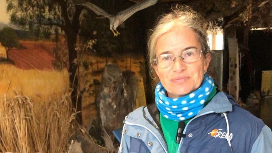 Mónica de los Ríos, coordinadora de Educación Ambiental de GREFA