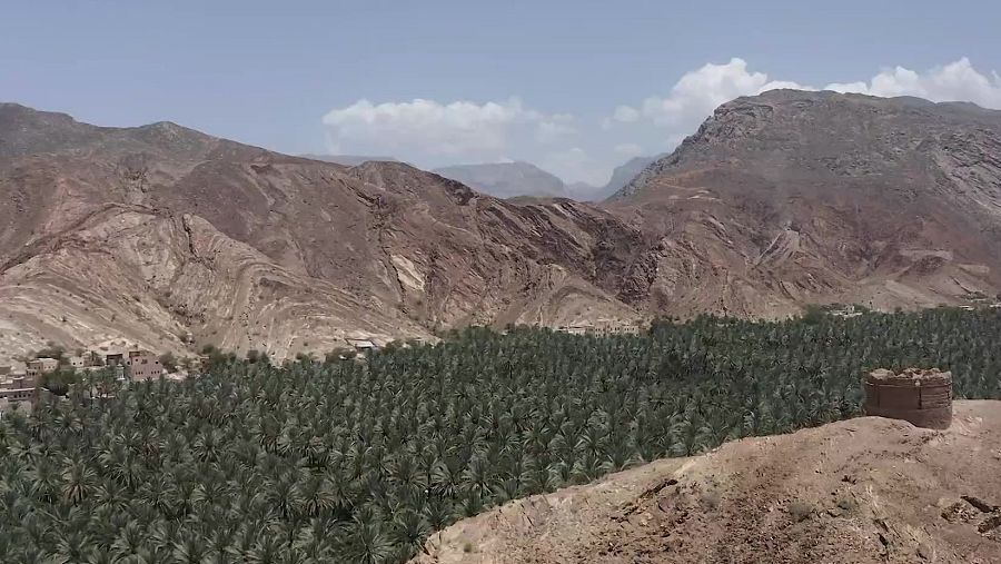 Oasi Birkat Al Mouz