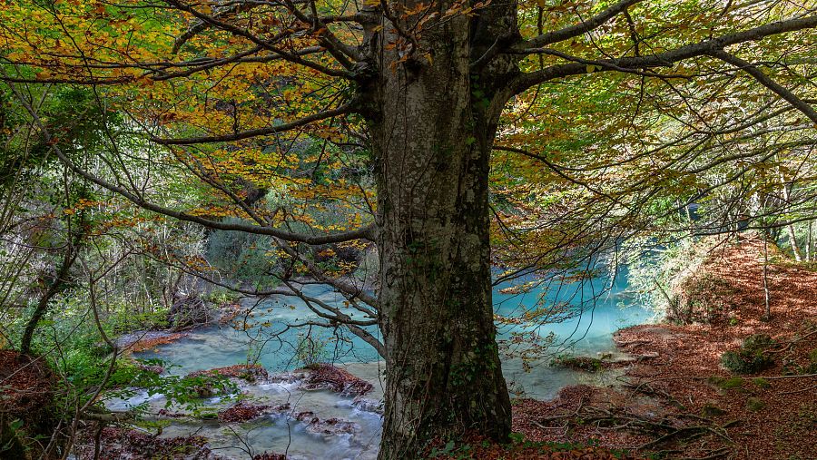 El parc Urbasa-Andia, un refugi natural entre Navarra i el País Basc