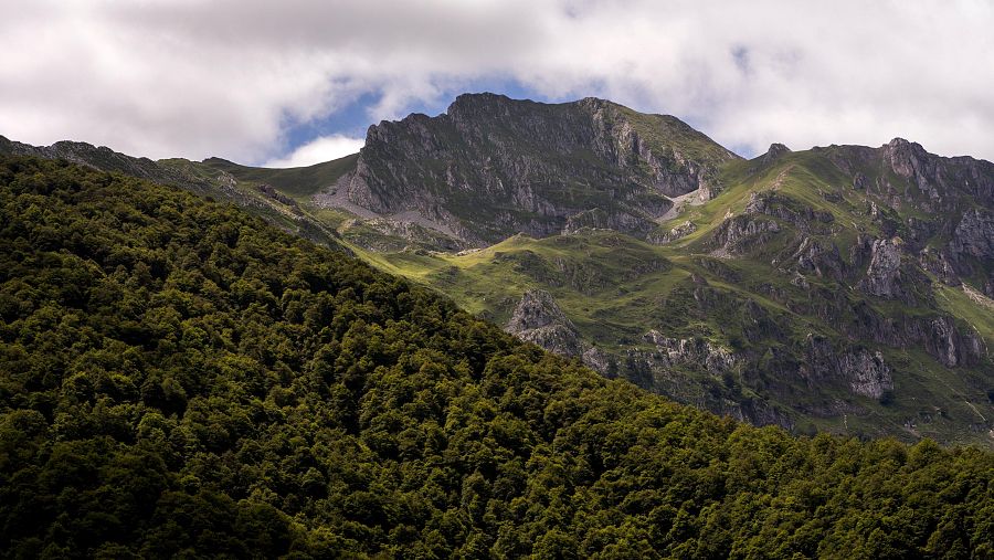Parc natural de Redes