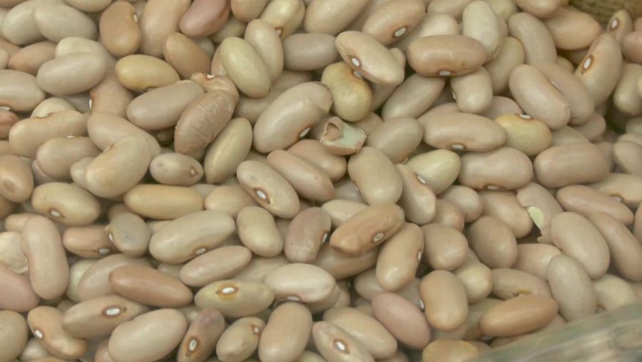 Montón de alubias secas beige claro, ovaladas, con un pequeño punto blanco en un extremo. Abundante cantidad.