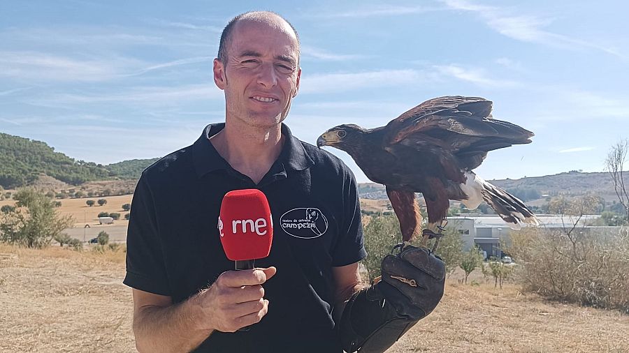 Miguel Bóveda, con una camiseta negra, sonríe mientras sostiene un micrófono y un águila. El fondo muestra un paisaje natural con colinas, vegetación y un edificio.
