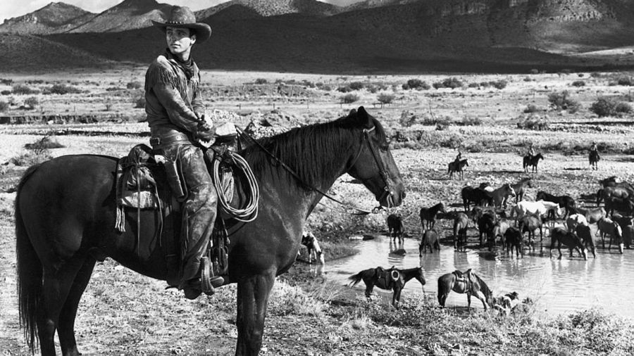Un vaquero montado a caballo, con vestimenta del oeste, se destaca en primer plano, mientras que una manada de ganado se congrega cerca de un río, con jinetes supervisando la escena.