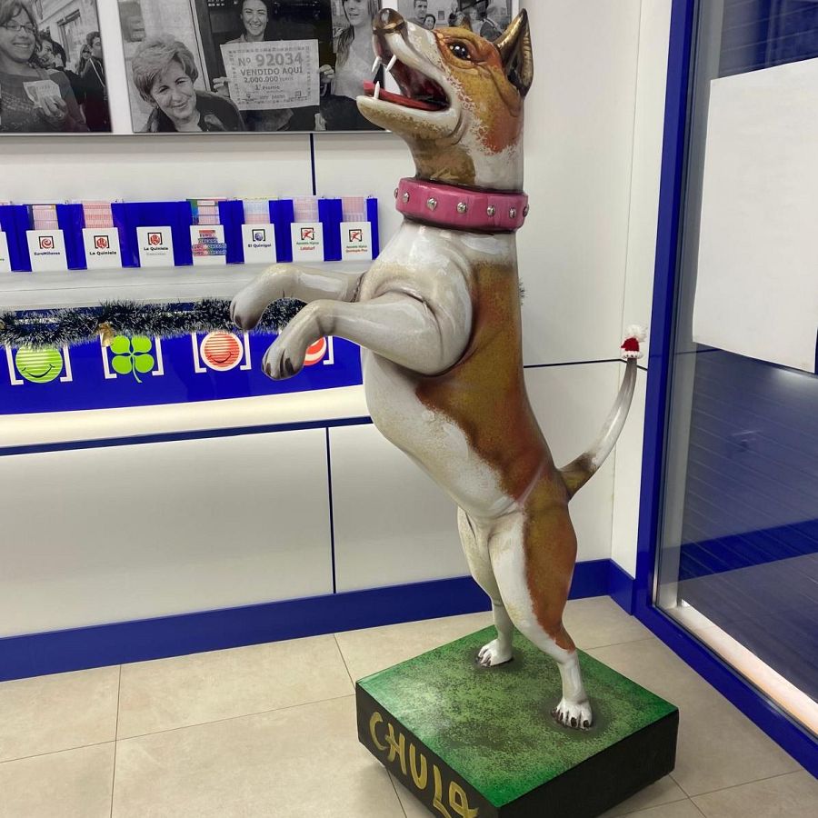 Chula, la perra de la suerte en Tobarra, Albacete.