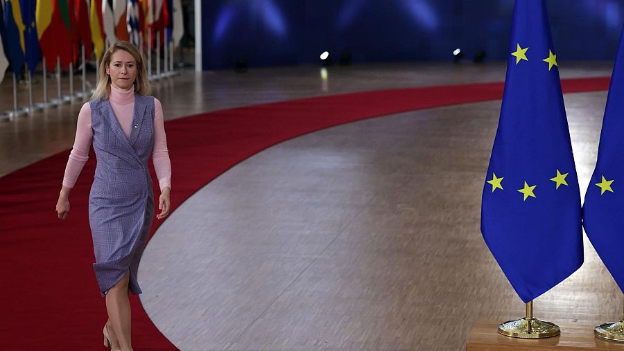 Una mujer rubia, vestida con un jersey rosa y un vestido azul grisáceo, camina sobre una alfombra roja en un pasillo flanqueado por banderas. Lleva zapatos de tacón color nude.