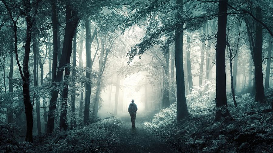 Un hombre camina solo por un sendero en un bosque brumoso, con árboles altos y delgados. La niebla densa difumina los contornos y crea una atmósfera de misterio y soledad.