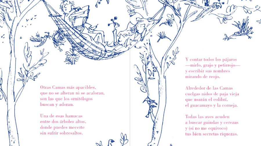 Ilustración interior de 'El libro de las camas'