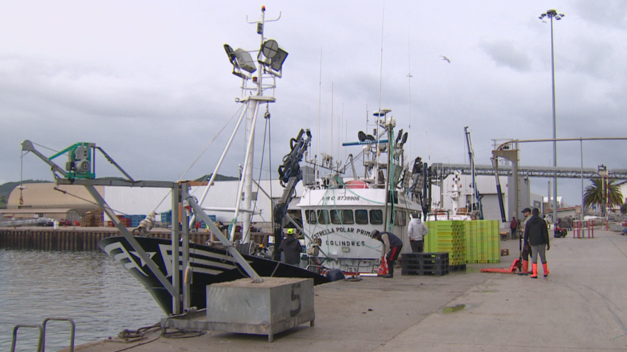 Desde el puerto hasta el mar: el trabajo que combate la pesca ilegal y protege los recursos