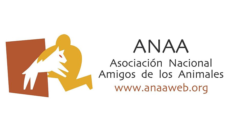 'Dog House': adopta con las asociaciones del programa