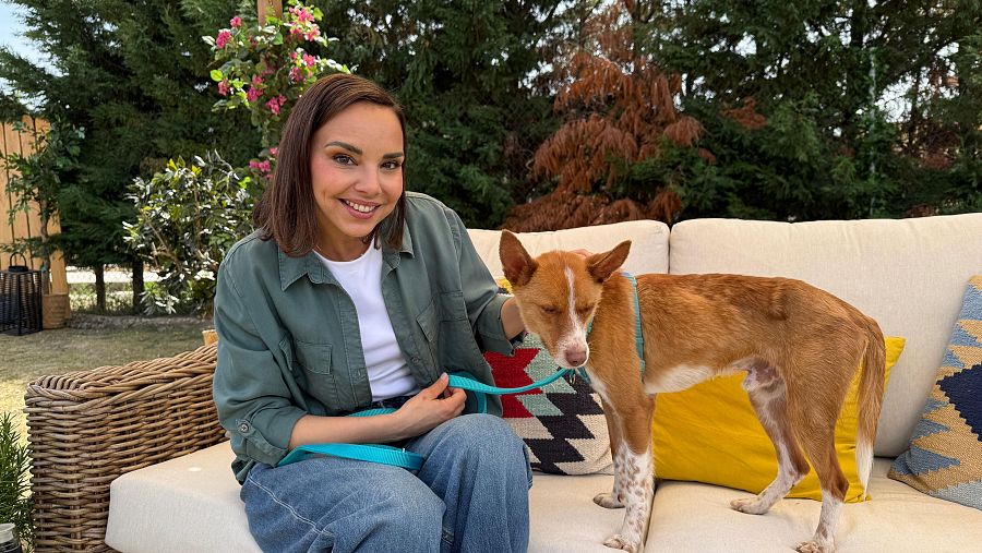 Vuelve 'Dog House' con Chenoa: No te pierdas el gran estreno