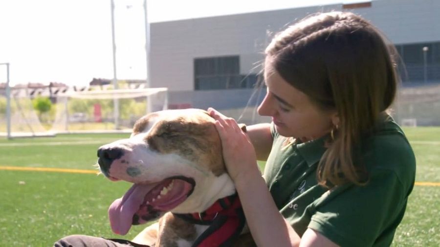 Los perritos de Dog House visitan a las campeonas de fútbol femenino
