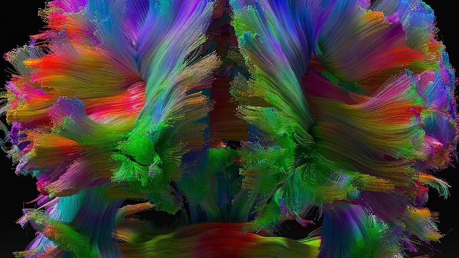 Sense of Space: Connectome Architecture (2021),