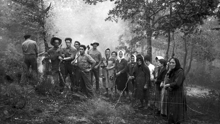 ¿Quién es Piedad Isla Todo sobre la fotógrafa palentina que 'reveló' la vida rural