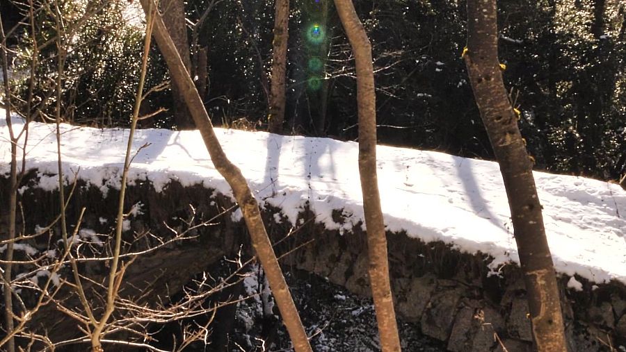 El diable va construir el Pont de Lles de Cerdanya a la bruixa dels Pirineus.