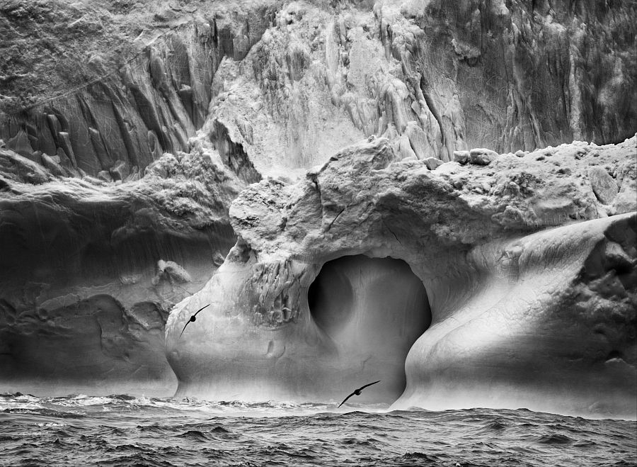 Entre Bristol y las islas Bellingshausen, en Sandwich del Sur, 2009