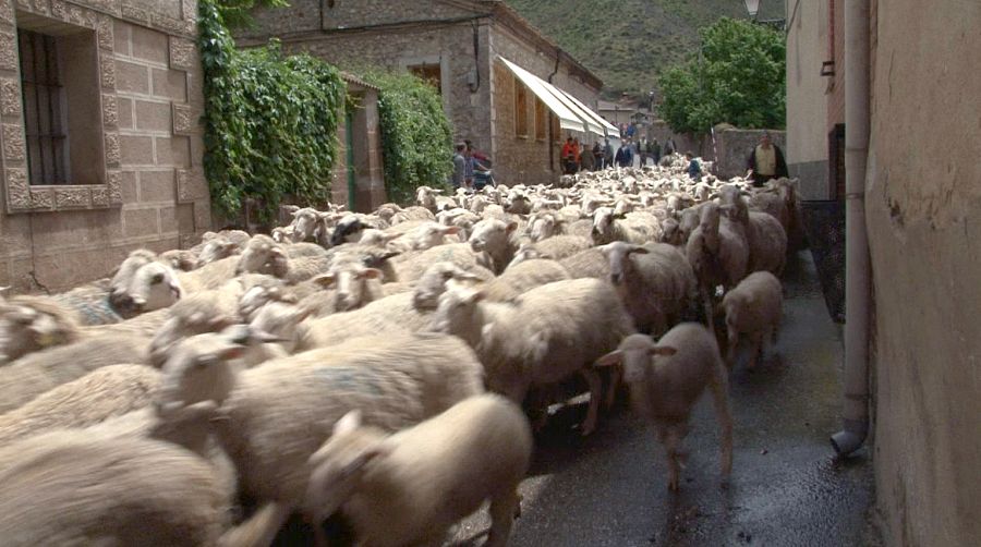 Brieva de Cameros