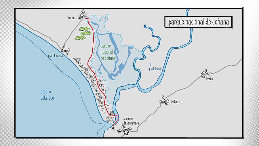 Parque Nacional de Doñana