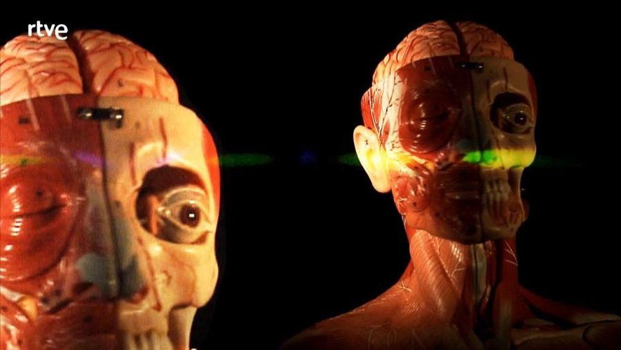 Ciencia Forense