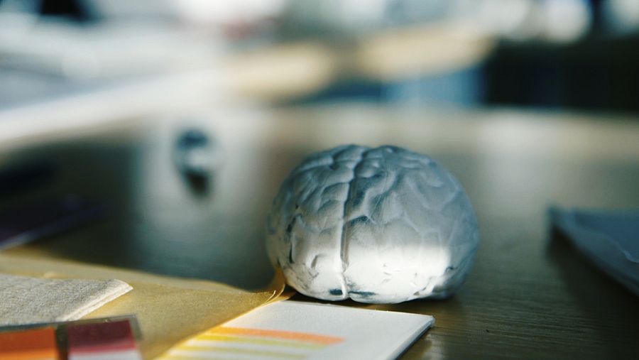 ¿Cómo funciona este enramado de 87.000 millones de neuronas que tenemos bajo nuestro cráneo?