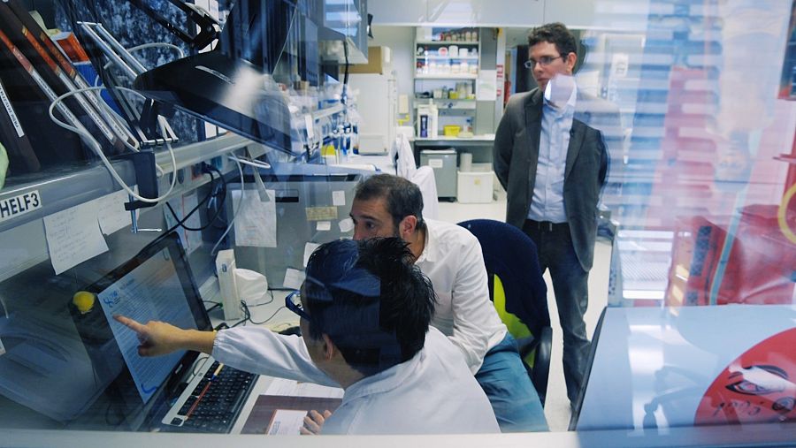 Pere Estupinyà, en el laboratorio de investigación genética