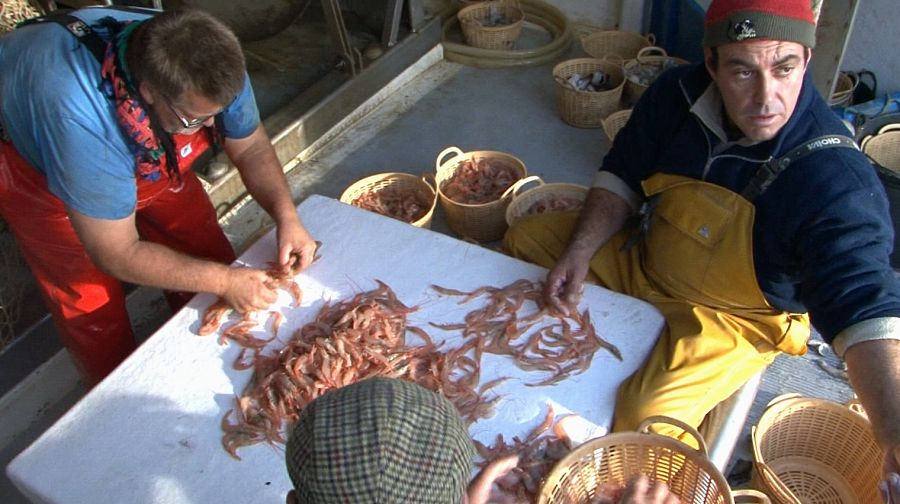 gambas