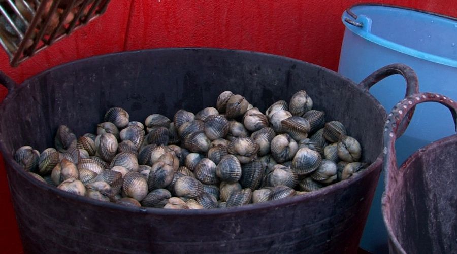 Huertos del mar