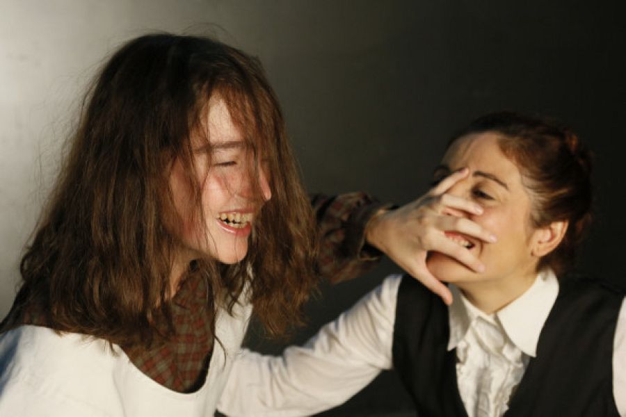 "El miracle d'Anna Sullivan", al Teatre del Raval